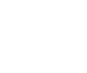 logo-light